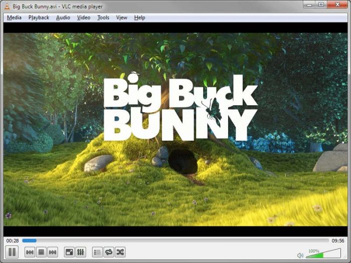 VLC Portable