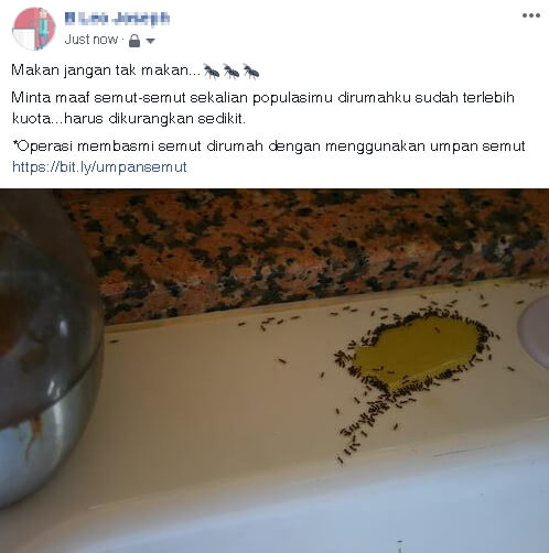 affiliate di facebook