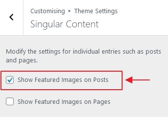 setting show featured image on single post