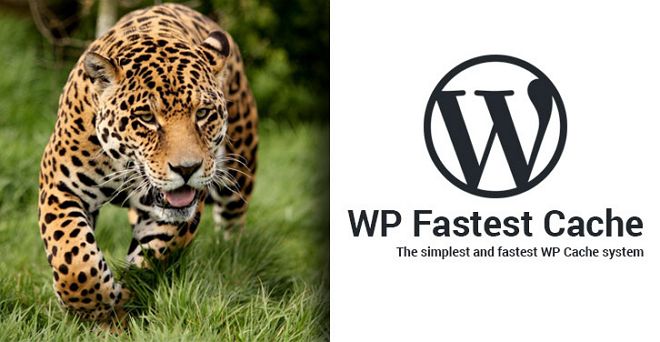 wp fastest cache plugin penting untuk blog