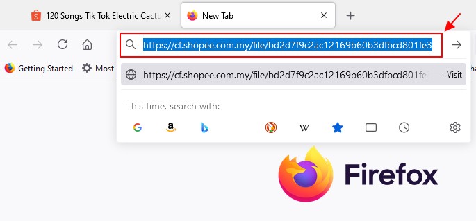 masukkan alamat url gambar dalam ruangan url browser