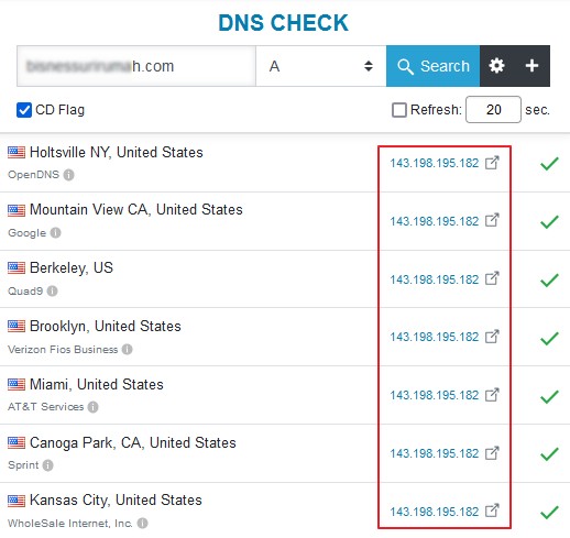 keputusan A record (IP Address) daripada DNS Checker