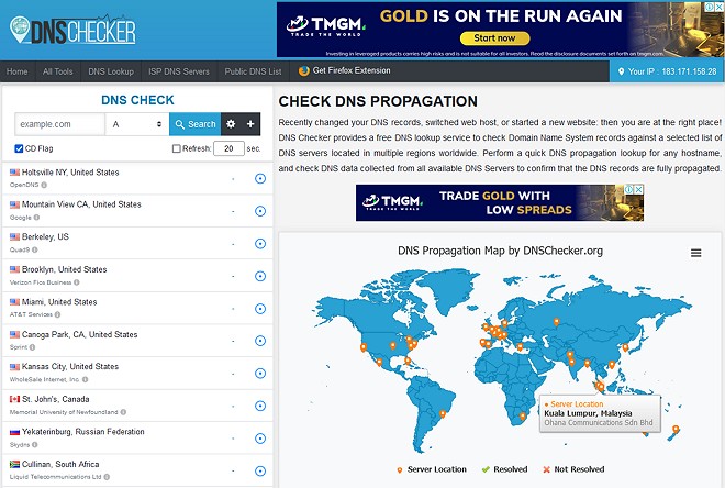 laman web dns checker