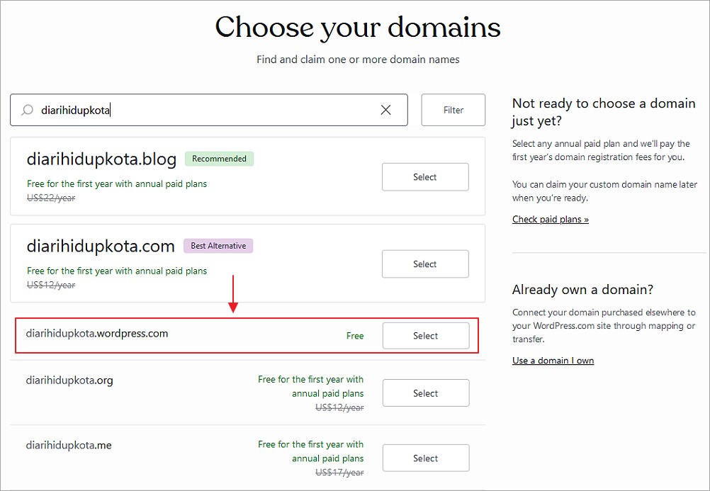 pilihan nama domain wordpress